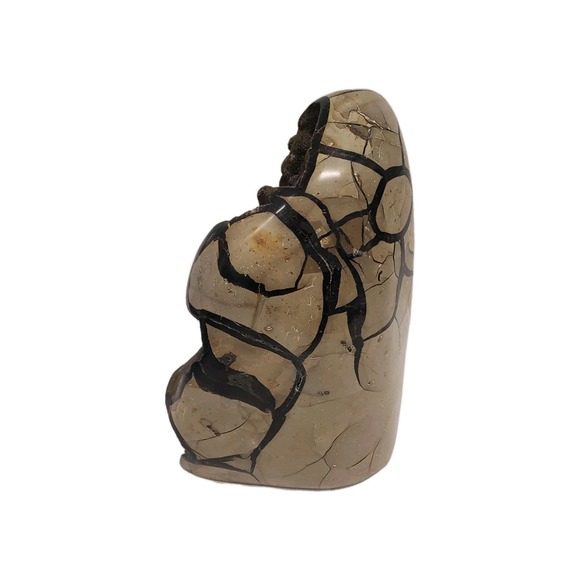 Natural Dragon Septarian Geode Freeform Quartz Cluster Crystal Healing - Picture 6 of 12